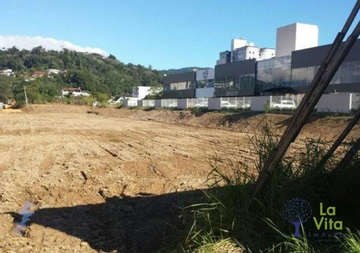 Terreno à venda, 10772 m² por R$ 17.500.000 - Centro - Blumenau/SC | LA VITA IMÓVEIS