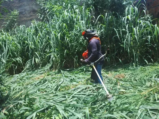 LIMPEZA DE TERRENO
