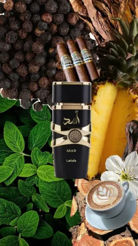 Perfume Asad Lattafa