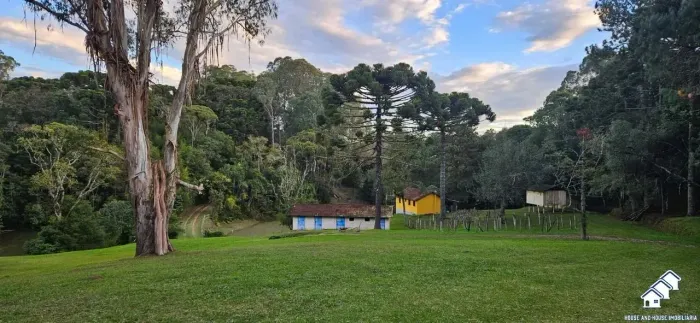 Chácara à venda  45.000 m²  em Roça Velha, Contenda, São José dos Pinhais