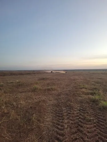 Fazenda de arrendamento 4.000hec sendo 1.000 aberto e + 1.000 todo ano em Itapurah MT.
