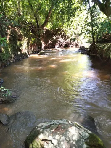 Área Rural Próxima a Palmas | Córrego Dentro da Propriedade | Excelente Oportunidade