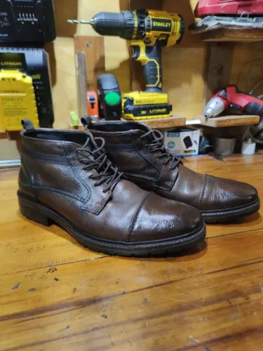 Bota Democrata