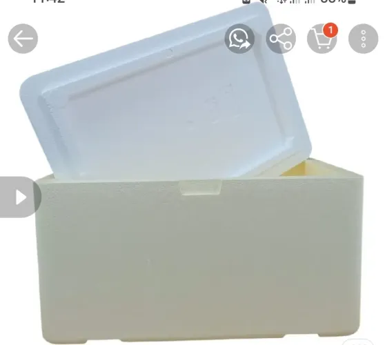 Caixa Térmica de Isopor com Tampa Só  este mês promoção 