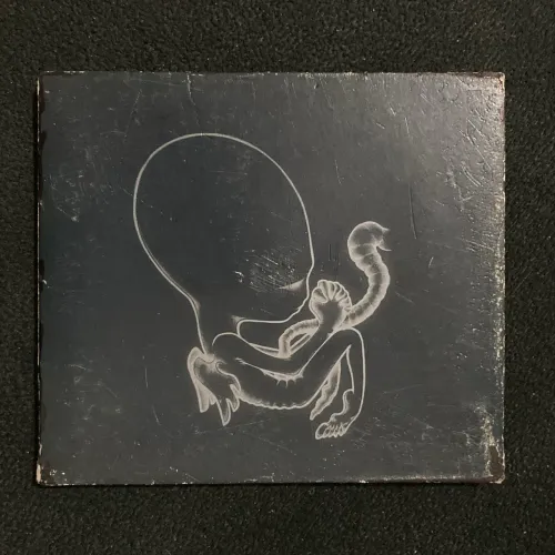 Sigur Ros - Agaetis byrjun (CD importado)