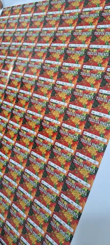 Adesivos em vinil