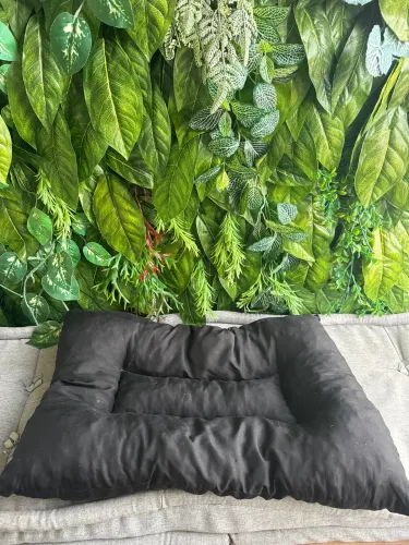 Produtos para pet - cachorro 
