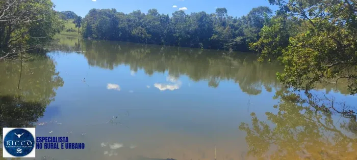 Fazenda à Venda em Araguapaz-GO | 40 Alqueires | Terra Plana e Formada