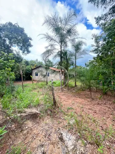 CHÁCARA À VENDA  2 ALQUEIRES COM RIO NA PROPRIEDADE!  Uma excelente oportunidade para quem
