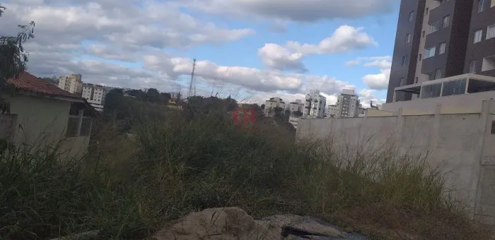 Lote à venda, Palmeiras - Belo Horizonte/MG