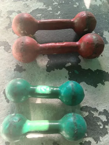 Par de Halteres de 4kg e 2kg.