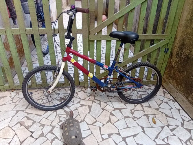 Bicicleta infantil aro 20