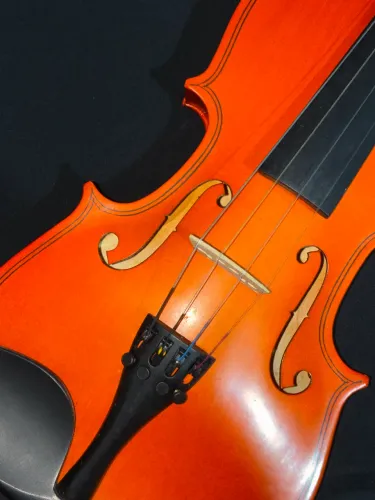 Violino 3/4 de Estudo Montado - Perfeito para Iniciantes (Com Marcação de Notas)