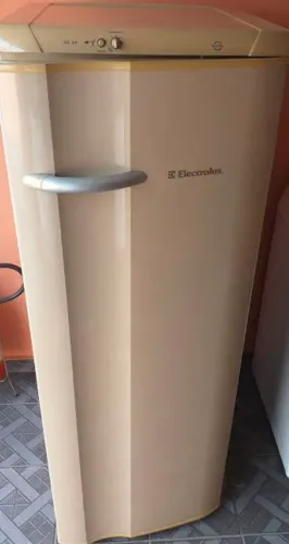 Geladeira Electrolux RD30 frost free