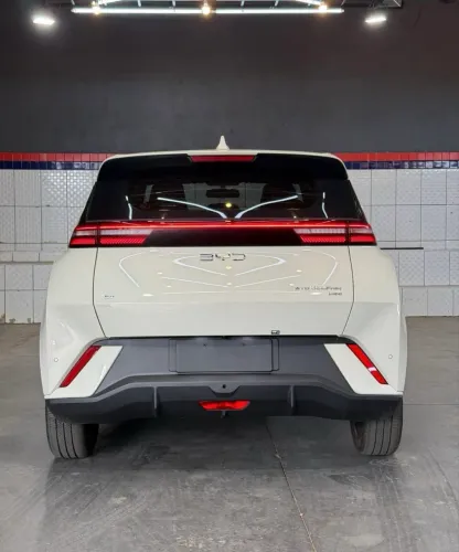 BYD Dolphin Mini (Elétrico) 2024