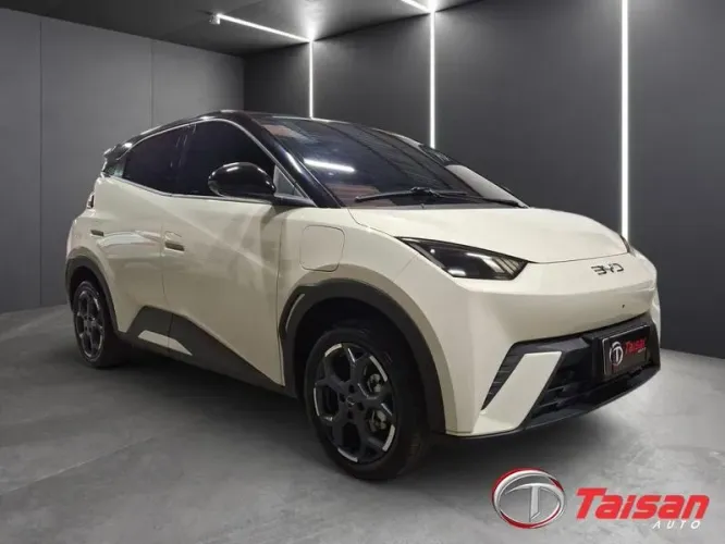 BYD Dolphin Mini (Elétrico) 2027
