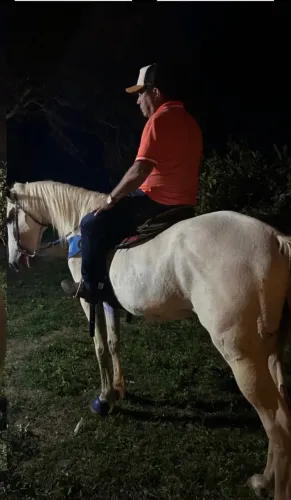 Cavalo manga larga