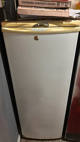 Freezer Vertical