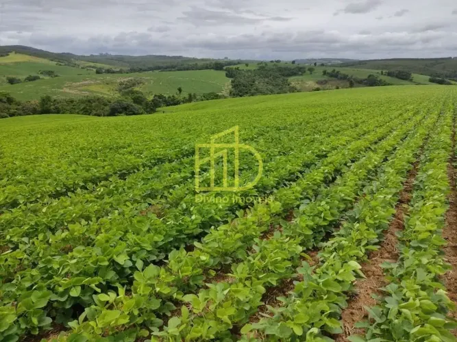 Sítio à Venda Pilar do Sul/SP Região de Sorocaba