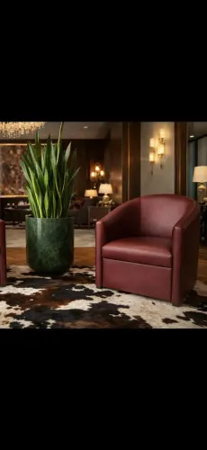 Uma poltrona bordo luxuosa