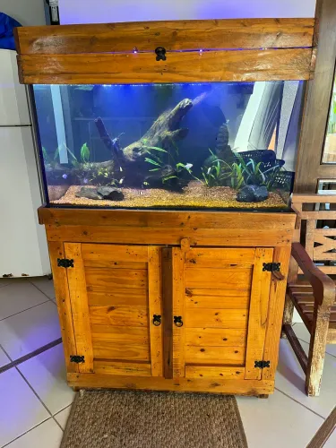 Aquário completo