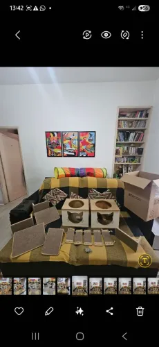 KIT PLAYGROUND 9 PEÇAS CARA DE GATO