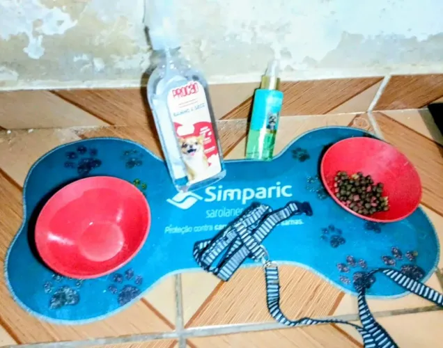 Kits de Produtos para pets