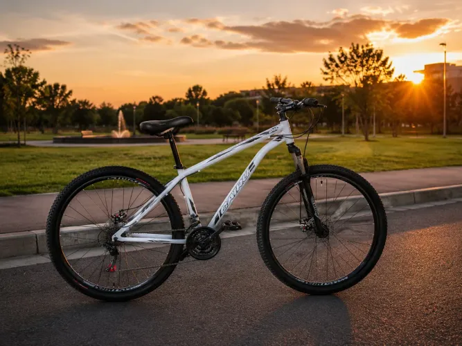 BIKE / BICICLETA CAIRO ARO 29