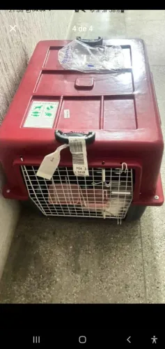 Caixa para transporte de Pet