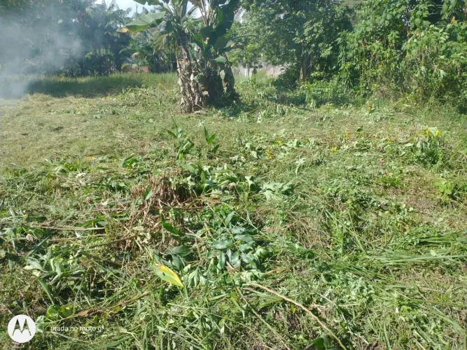 Terreno em mosqueiro 
