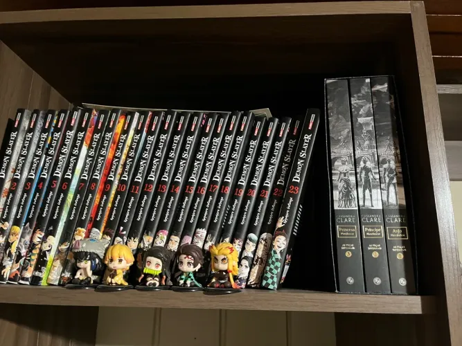 COLEÇÃO COMPLETA DEMON SLAYER ? 1 AO 23