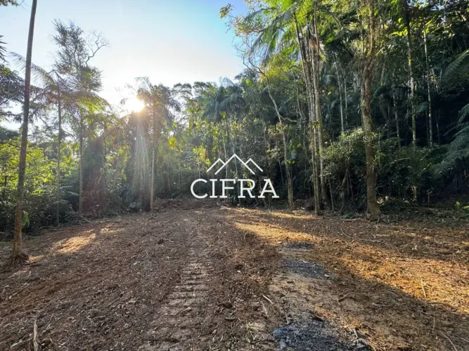 Terreno Rural - Sítio - Venda - 03 hectares - 30.000m2 - Estrada Braço Bela Aliança - Bela
