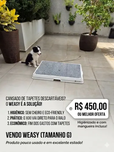 Sanitário/Banheiro Inteligente Weasy para Cães (Tamanho G) - Sem Cheiro e Ecológico