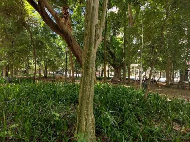 Apartamento em Rua Bela Cintra - Jardim América - São Paulo/SP