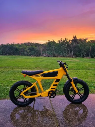 Bicicleta Elétrica PANDA FT03 1000W 48V