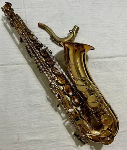 Sax Tenor Shelter