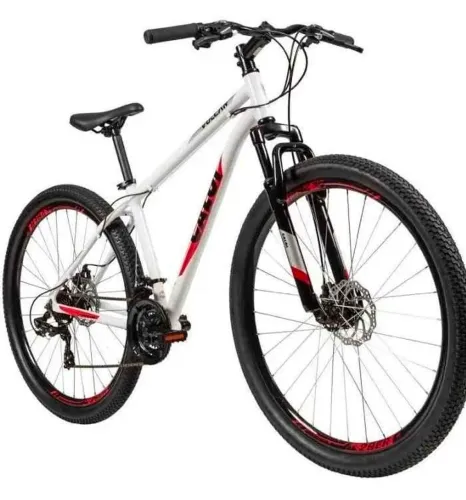 Biscicleta
