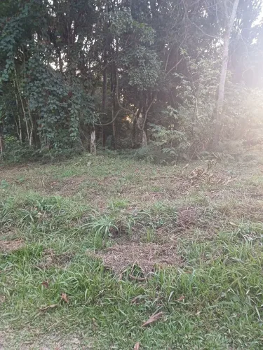 Dois terrenos documentados com registro de imóveis, tudo certinho,.