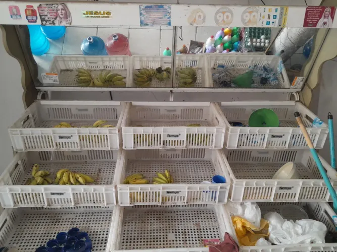 Fruteira para mercadinho.