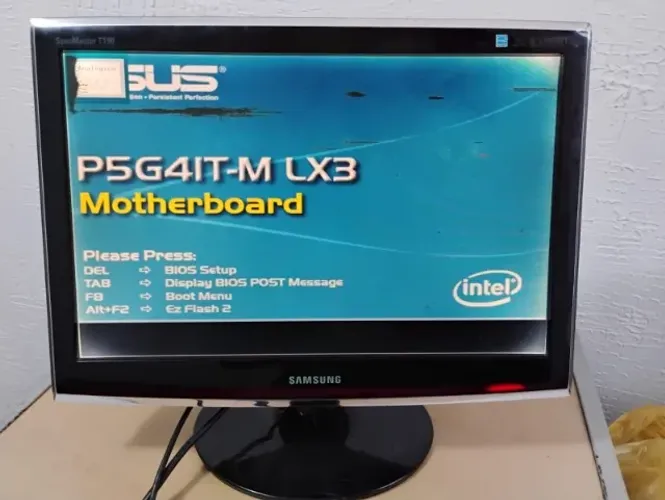 Monitor Samsung Lcd T190 Tela 19 (TELA QUEBRADA)