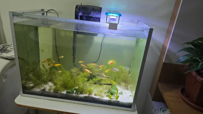 Aquário Completo 72L (30x40x60) com Luminária LED
