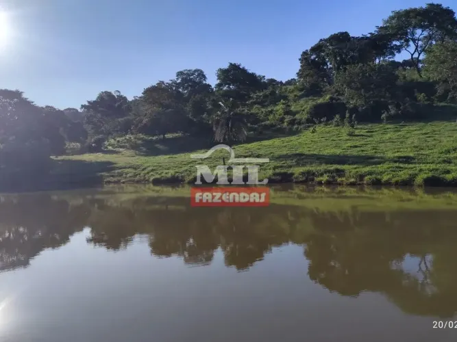 Fazenda 67 Alqueires ( 324 Hectares ) Faina - Go