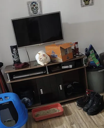 Rack pra Sala