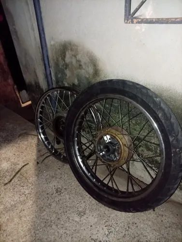 Rodas raiada