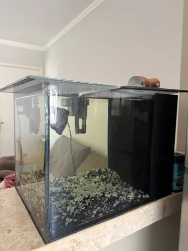 Aquário 36l