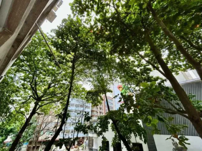 Apartamento : Padrão / Residencial / Ipanema