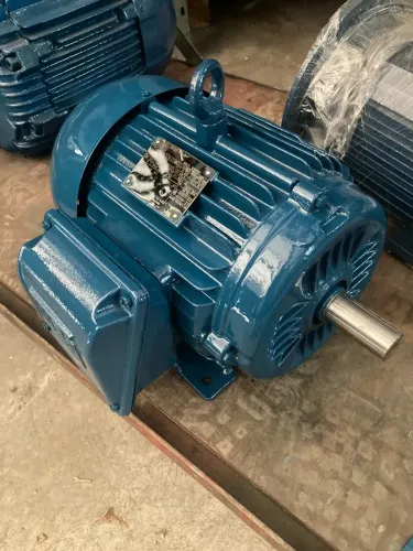 Motor Weg 6 Cv W22 Plus