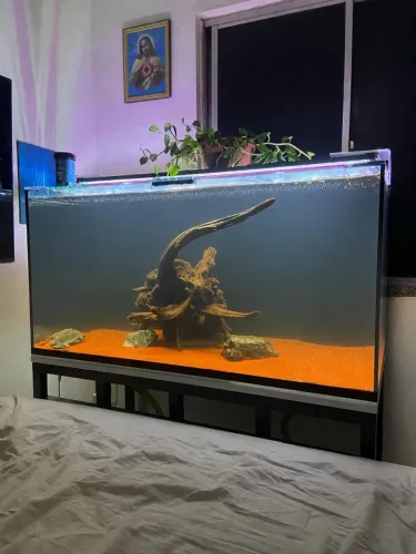 Aquário 250L | Com Metalon 