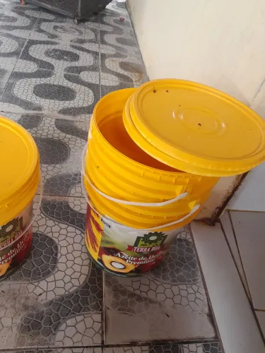 Vendo baldes vasios com tampas