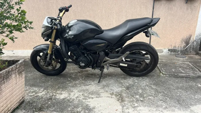 Hornet 600